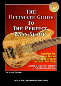 The Ultimate Guide to The Perfect Bass Setup  version[removed]