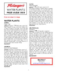 CALTHA (Marsh Marigold) palustris 12-18”H water: moist to 2-4” Also known as Kingcup or Cowslip, Caltha is a member