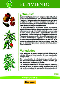 EL PIMIENTO ¿Qué es? El pimiento (Capsicum annuum var. grossum) es el fruto hueco de una planta herbácea que recibe su mismo nombre. Pertenece a la familia de las Solanáceas y en concreto al género Capsicum. Entre o