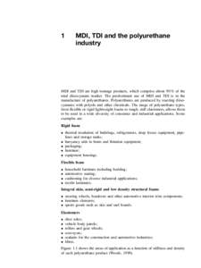 1  MDI, TDI and the polyurethane industry  MDI and TDI are high tonnage products, which comprise about 90 % of the