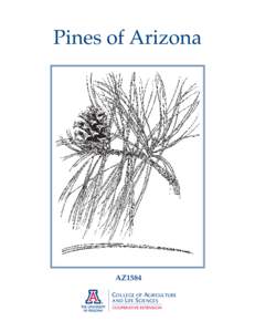 Pines of Arizona  AZ1584 C OLLEGE OF AGRICULTURE AND LIFE SCIENCES COOPERATIVE EXTENSION