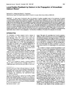 Biophysical Journal Volume 69 November[removed]1 683 Local Positive Feedback by Calcium in the Propagation of Intracellular Calcium Waves*