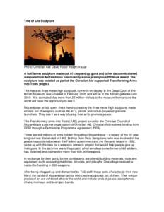 Christian Aid PPA: Case Study - Tree of Life Sculpture in Mozambique