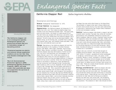 US EPA - Endangered Species Facts - California Clapper Rail
