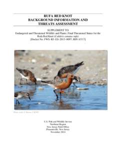 RUFA RED KNOT BACKGROUND INFORMATION AND THREATS ASSESSMENT SUPPLEMENT TO Endangered and Threatened Wildlife and Plants; Final Threatened Status for the Rufa Red Knot (Calidris canutus rufa)