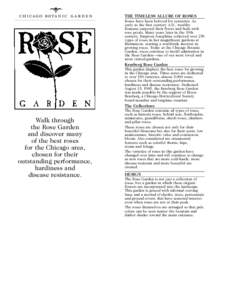THE TIMELESS ALLURE OF ROSES Roses have been beloved for centuries. As early as the first century A.D., wealthy Romans carpeted their floors and beds with rose petals. Many years later in the 19th century, Empress Joseph