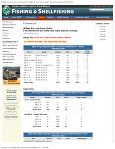 Willapa Bay and Grays Harbor Fall Commercial Non Indian and Tribal Salmon Landings | Washington Department of Fish & Wildlife