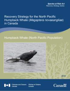 Biology / Water / Megafauna / Humpback whale / Oceans / Whale / Marine mammal / Rorqual / Whaling / Baleen whales / Cetaceans / Zoology