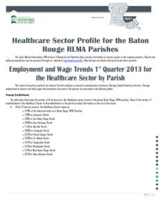 Healthcare Sector Profile for the Baton Rouge RLMA Parishes The Labor Market information (LMI) division of Research and Statistics helps provide information on various sectors in the regional economy. Reports and tables 