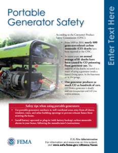 2012 February Focus on Fire Safety: Portable Generator Safety