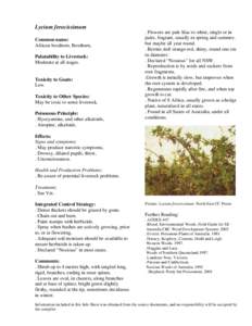 Medicinal plants / Lycium / Lycium ferocissimum / Land management / Noxious weed / Boxthorn / Weed / Herbicide / Garden pests / Agriculture / Landscape architecture
