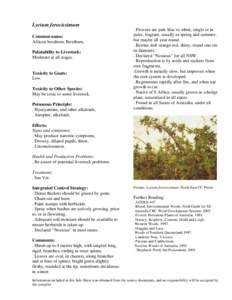 Lycium ferocissimum Common name: African boxthorn, Boxthorn, Palatability to Livestock: Moderate at all stages.