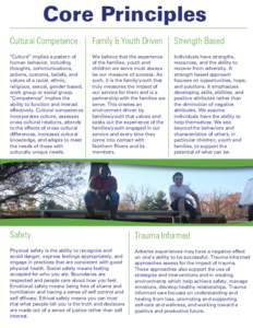 Core Principles Cultural Competence Family & Youth Driven  Strength Based