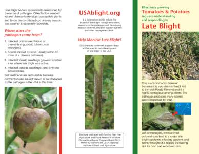 Late blight occurs sporadically determined by presence of pathogen. Other factors needed for any disease to develop (susceptible plants and favorable conditions) occur every season. Wet weather is especially favorable.