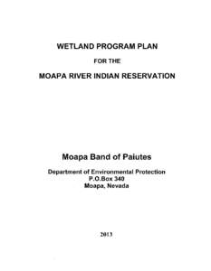 WETLAND PROGRAM PLAN FOR THE MOAPA RIVER INDIAN RESERVATION[removed]