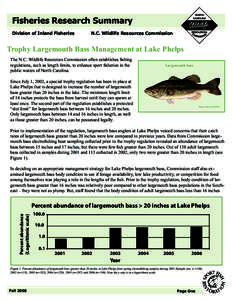 Fisheries Research Summary Division of Inland Fisheries N.C. Wildlife Resources Commission  Trophy Largemouth Bass Management at Lake Phelps