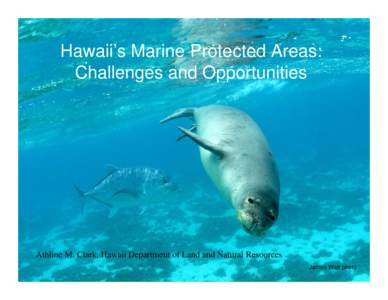 Hawaii’s Marine Protected Areas: Challenges and Opportunities Athline M. Clark, Hawaii Department of Land and Natural Resources James Watt photo