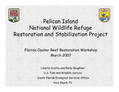 Pelican Island National Wildlife Refuge Restoration and Stabilization Project Florida Oyster Reef Restoration Workshop March 2007 Liberta Scotto and Emily Boughner