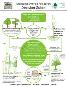 Managing Emerald Ash Borer:  Decision Guide Begin with an inventory of your ash trees How many?