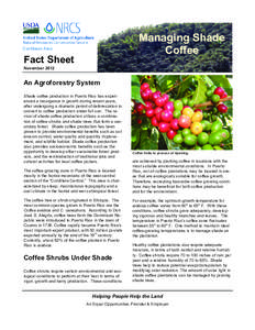 Managing Shade Coffee Caribbean Area  Fact Sheet