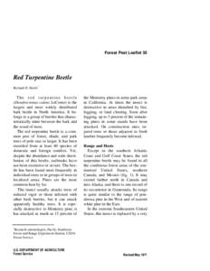 Forest Pest Leaflet 55  Red Turpentine Beetle Richard H. Smith 1  The red turpentine beetle