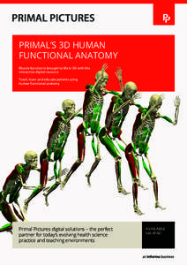 PRIMAL’S 3D HUMAN FUNCTIONAL ANATOMY Muscle function is brought to life in 3D with this interactive digital resource Teach, learn and educate patients using human functional anatomy