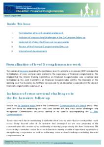 European Commission  DG Internal Market and Services Info-letter: Financial Conglomerates Issue 3 | August 2009