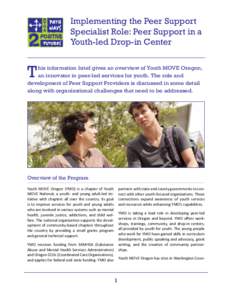 Implementing the Peer Support Specialist Role: Peer Support in a Youth-Led Drop-in Center