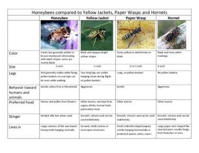 Honeybees compared to Yellow Jackets, Paper Wasps and Hornets    Honeybee  Yellow Jacket