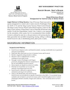 BEST MANAGEMENT PRACTICES  Scotch Broom, Scot’s Broom Cytisus scoparius Fabaceae Class B Noxious Weed