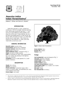 Fact Sheet ST-63 November 1993 Aesculus indica Indian Horsechestnut1 Edward F. Gilman and Dennis G. Watson2