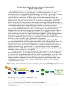 How does tissue identity affect the occurrence of transvection? Beatriz Malibiran’14 Gene regulation is understood as a linear concept: in a gene, an activated enhancer targets a specific promoter and causes the transc