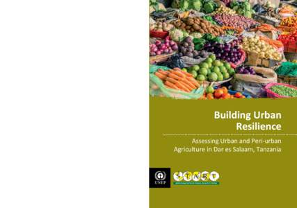 United Nations Environment Programme / Urban agriculture / Adaptation to global warming / University of Dar es Salaam / IPCC Fourth Assessment Report / Dar es Salaam / Climate risk / Intergovernmental Panel on Climate Change / Nairobi / Climate change / Geography of Africa / Environment