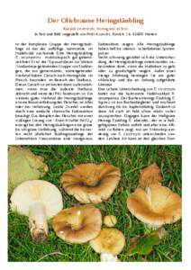 Der Olivbraune Heringstäubling Russula cicatricata Romagnesi ex Bon In Text und Bild vorgestellt von FREDI KASPAREK, Forststr. 24, 45699 Herten