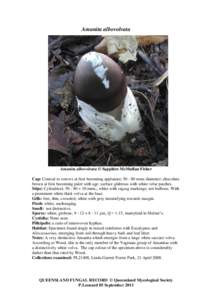 Amanita / Edible fungi / Amanita xanthocephala / Amanita exitialis / Mycology / Biology / Volva