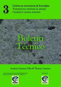 3  Grietas en estructuras de hormigón Fissuração nas estruturas de concreto Cracking in concrete structures