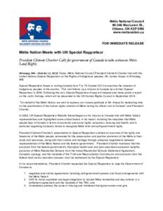 Métis / Americas / Rodolfo Stavenhagen / Special Rapporteur / Canada / Tony Belcourt / Ethnic groups in Latin America / Jim Sinclair / Métis National Council / Métis people / Clément Chartier