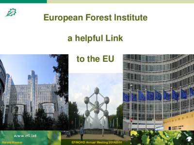 European Forest Institute a helpful Link to the EU Harald Mauser