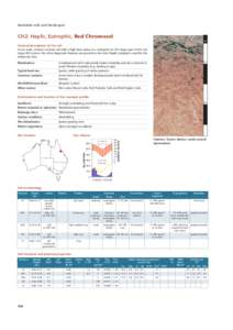 Australian soils and landscapes  CH2: Haplic, Eutrophic, Red Chromosol m  General description of the soil