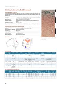 Ped / Podzol / Cutans / Brown earth / Particle size / Cecil / Pedology / Soil science / Soil