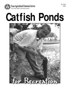 Catfish Ponds for Recreation