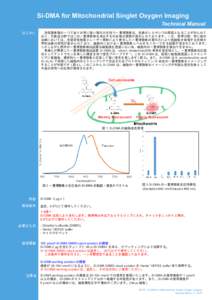 Si-DMA for Mitochondrial Singlet Oxygen Imaging  Technical Manual はじめに