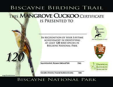 Biscayne Birding Trail This Mangrove Cuckoo Certificate is Presented to
