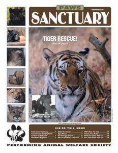 PAWS  SANCTUARY SUMMER[removed]TIGER RESCUE!