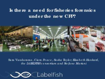 Is there a need for fisheries forensics under the new CFP? Sara Vandamme, Ciara Peace, Sasha Taylor, Elizabeth Hankard, the LABELFISH consortium and Stefano Mariani