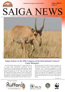 Published by the Saiga Conservation Alliance  winterissue 10  SAIGA NEWS