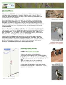 Little Known Birding Areas