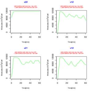 (EGF−EGFR*)2−GAP−Grb2−Sos + Ras−GDP −> (EGF−EGFR*)2−GAP−Grb2−Sos−Ras−GDP[removed]