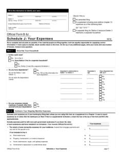 Schedule J - Current Expenditures of Individual Debtor(s)