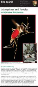 Malaria / Pest control / Tropical diseases / Mosquito / Parasitology / West Nile virus / DEET / Pesticide / Malathion / Medicine / Biology / Health